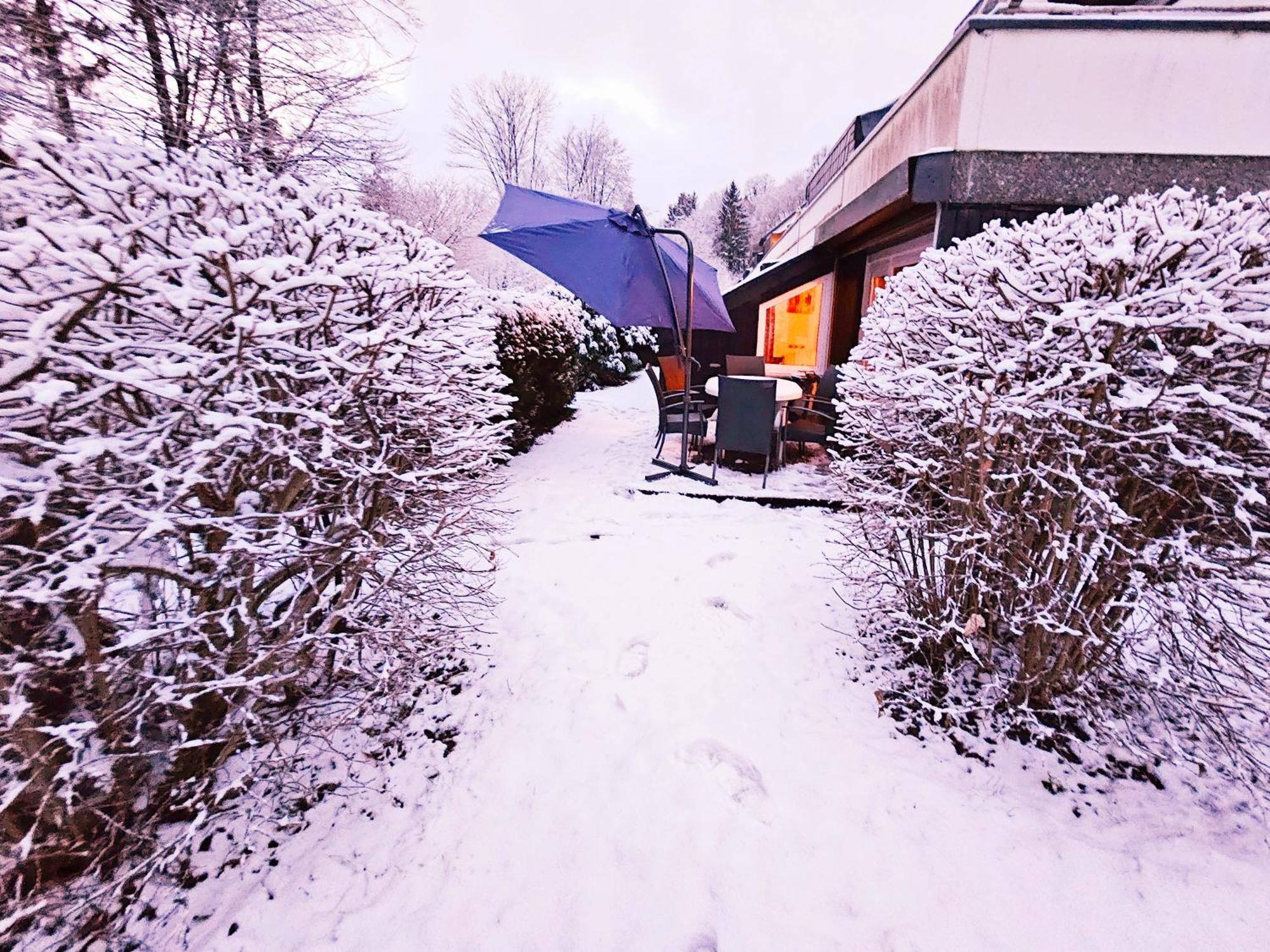 Apartment 6 Pers Schwimmbad Sauna Ruheraum Freizeitabteilung Darts Tischtennis Fussball Terrasse Mit Riesem Garten Im Wald Nahe Stadmitte Und Bikepark Mit Fahrradlift Tennis Golfplatz Buchbarem Massages Im Wellnessresort Der Brabander